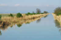 Fertő-Hanság Nemzeti Park