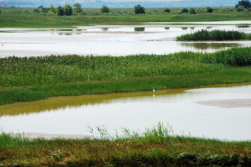 Fertő-Hanság Nemzeti Park