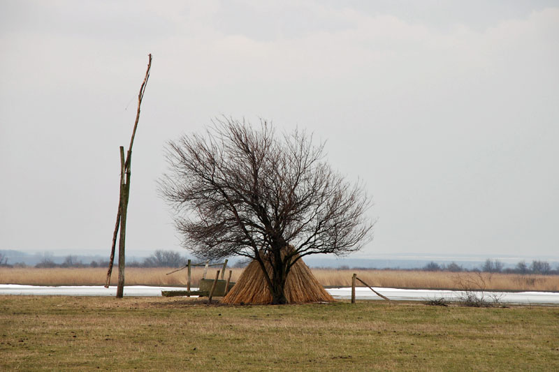 Fertő-Hanság Nemzeti Park