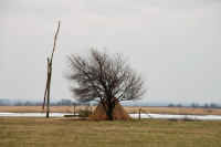 Fertő-Hanság Nemzeti Park