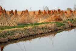 Fertő-Hanság Nemzeti Park