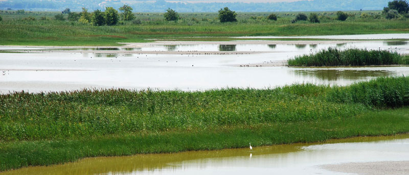 Fertő-Hanság Nemzeti Park